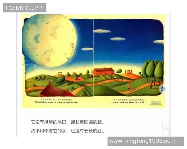 22块足球的奇妙旅程探索与成长的故事