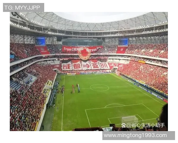 alf足球：探索新兴足球文化与全球赛事的交融与发展