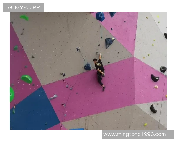 上海攀岩队战术对比深度解析与未来发展展望 上海攀岩队战术对比深度解析与未来发展展望