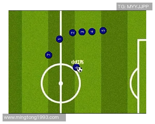 上海飞盘队默契配合的秘密与战术分析探讨
