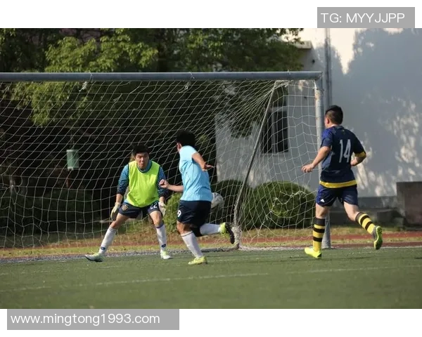 乍浦足球的崛起与发展探索助力地方文化与青少年成长的双重使命